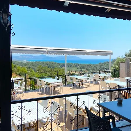 Silent Turkuaz Sarıgerme