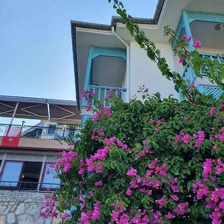 Otel Silent Turkuaz Sarıgerme