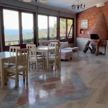 Silent Turkuaz * サルゲルメ