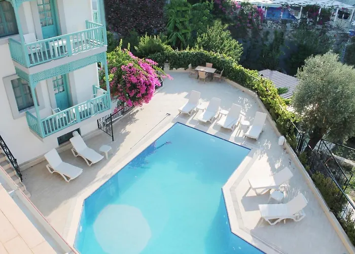 Silent Turkuaz Sarıgerme