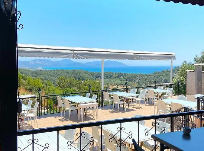 Silent Turkuaz Sarıgerme