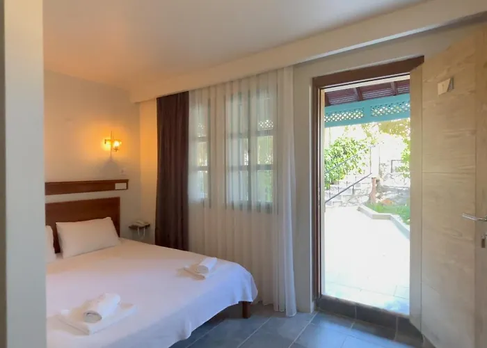 Silent Turkuaz * Sarıgerme